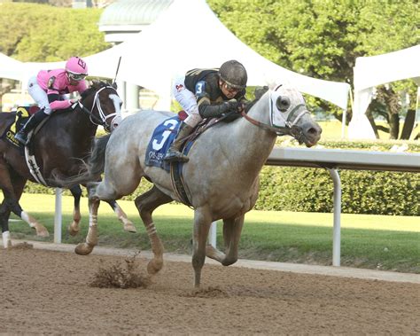 drf churchill downs|Track Mate heads into Grade 1 company for Churchill Downs.